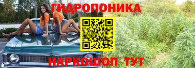 ешки Краснодар