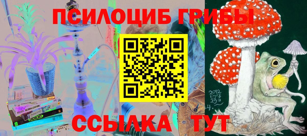 Галлюциногенные грибы MAGIC MUSHROOMS  Вход с VPN  Дзержинск 